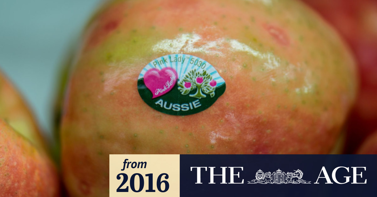 When eating 10 apples a day is core business